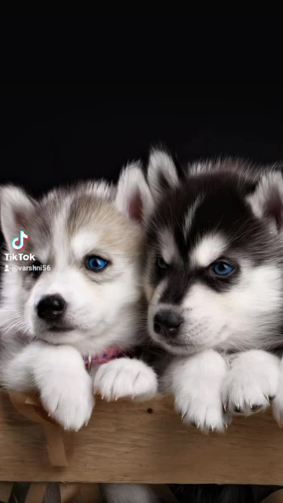 @varshini56😄😄😜🙂🙂
