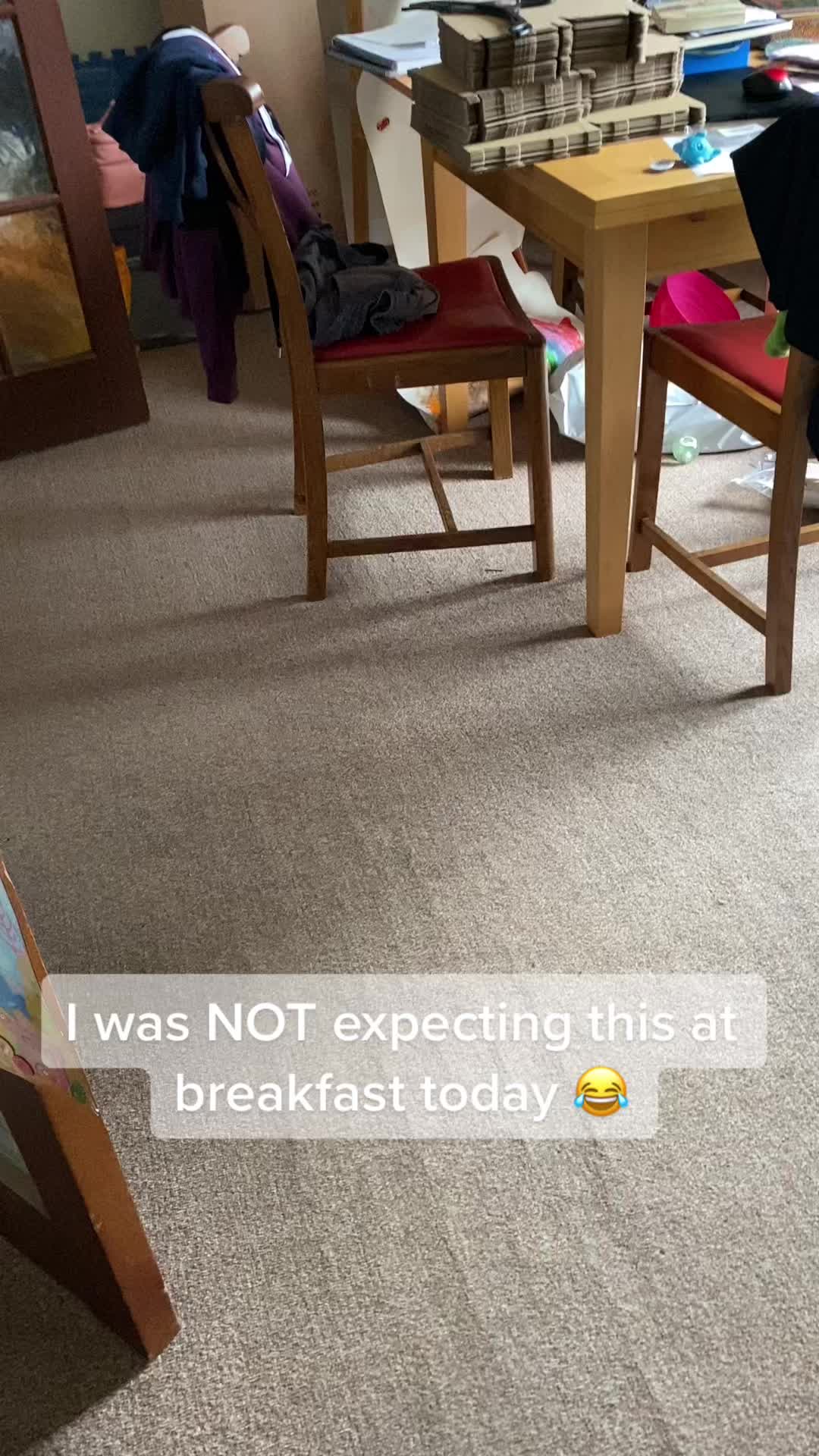 @EllaRaeMouldsVinyls