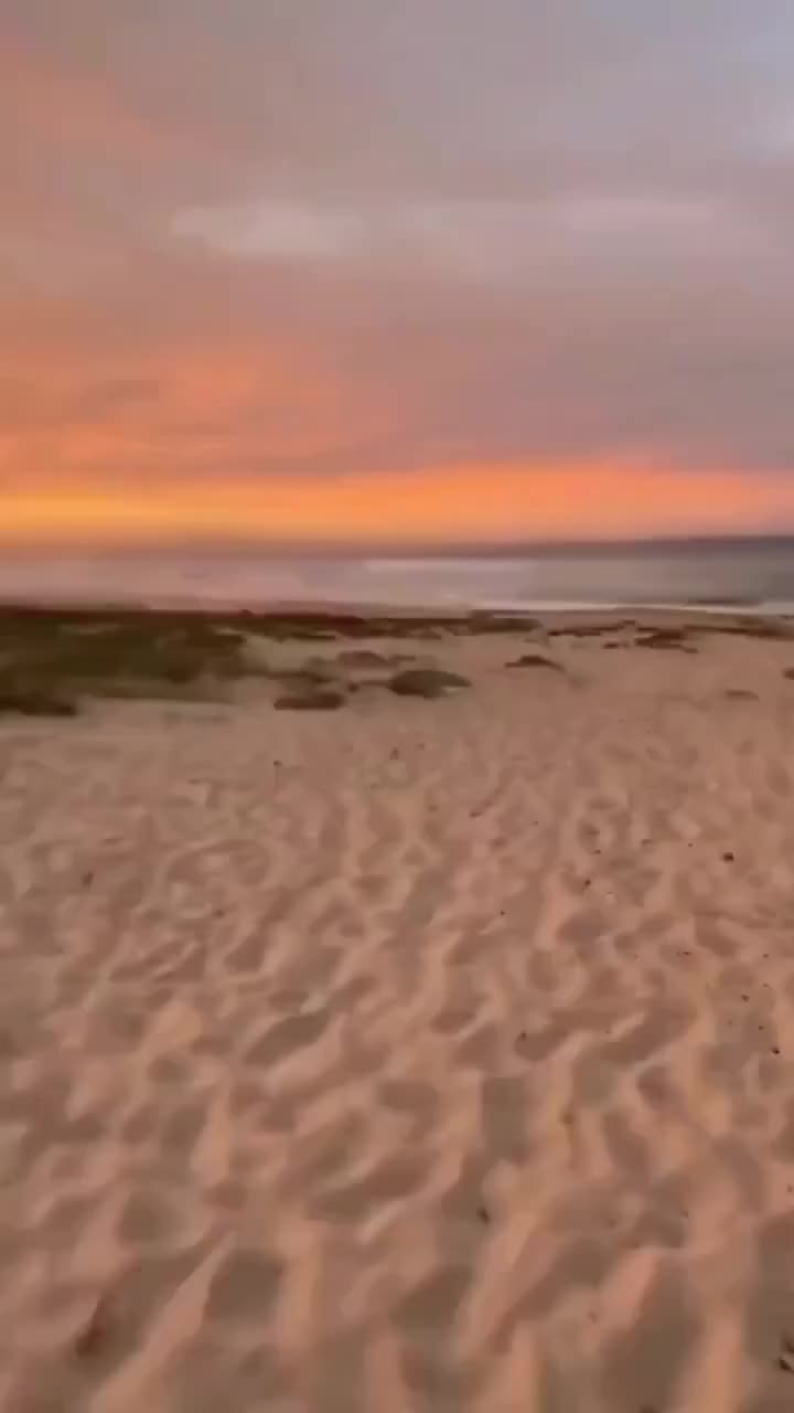 @cbdjskhbp0n