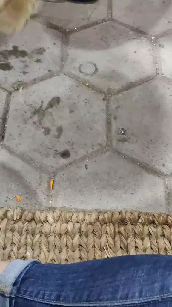@manssaj🧿👑💫🌻