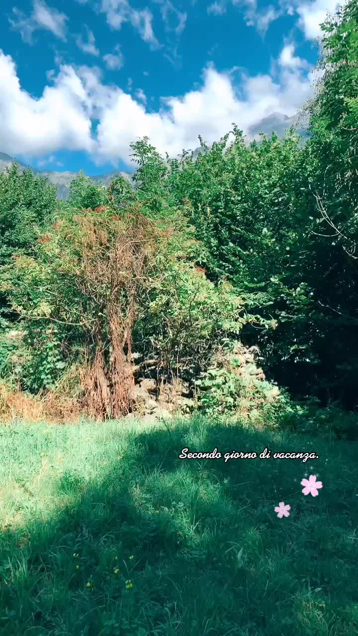 @JulietMowe🥀