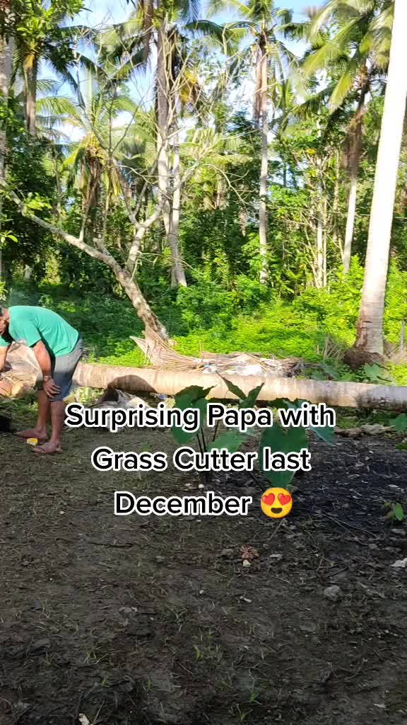 @🦋