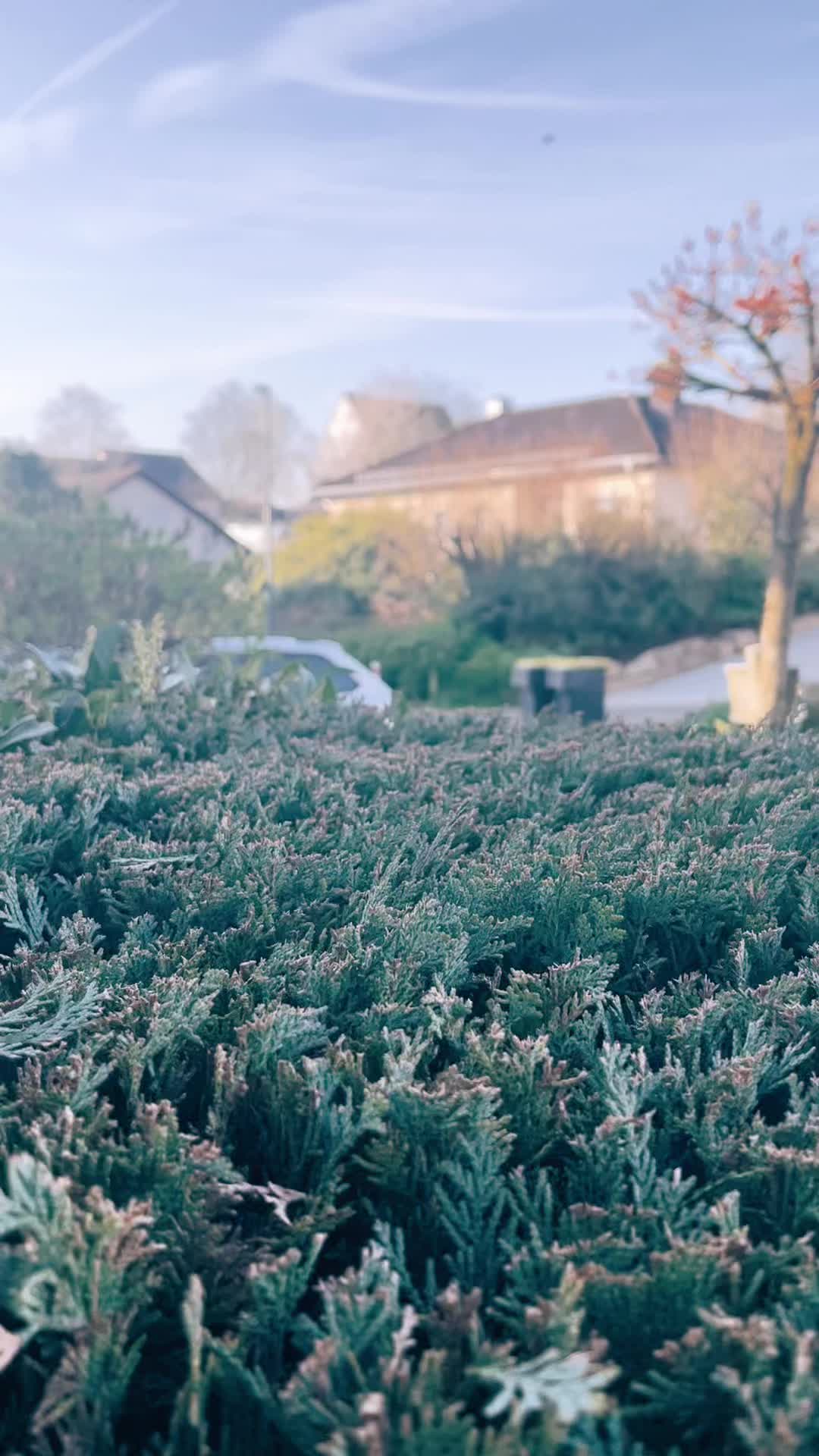 @Pfld. Pflegeleicht NRW GmbH