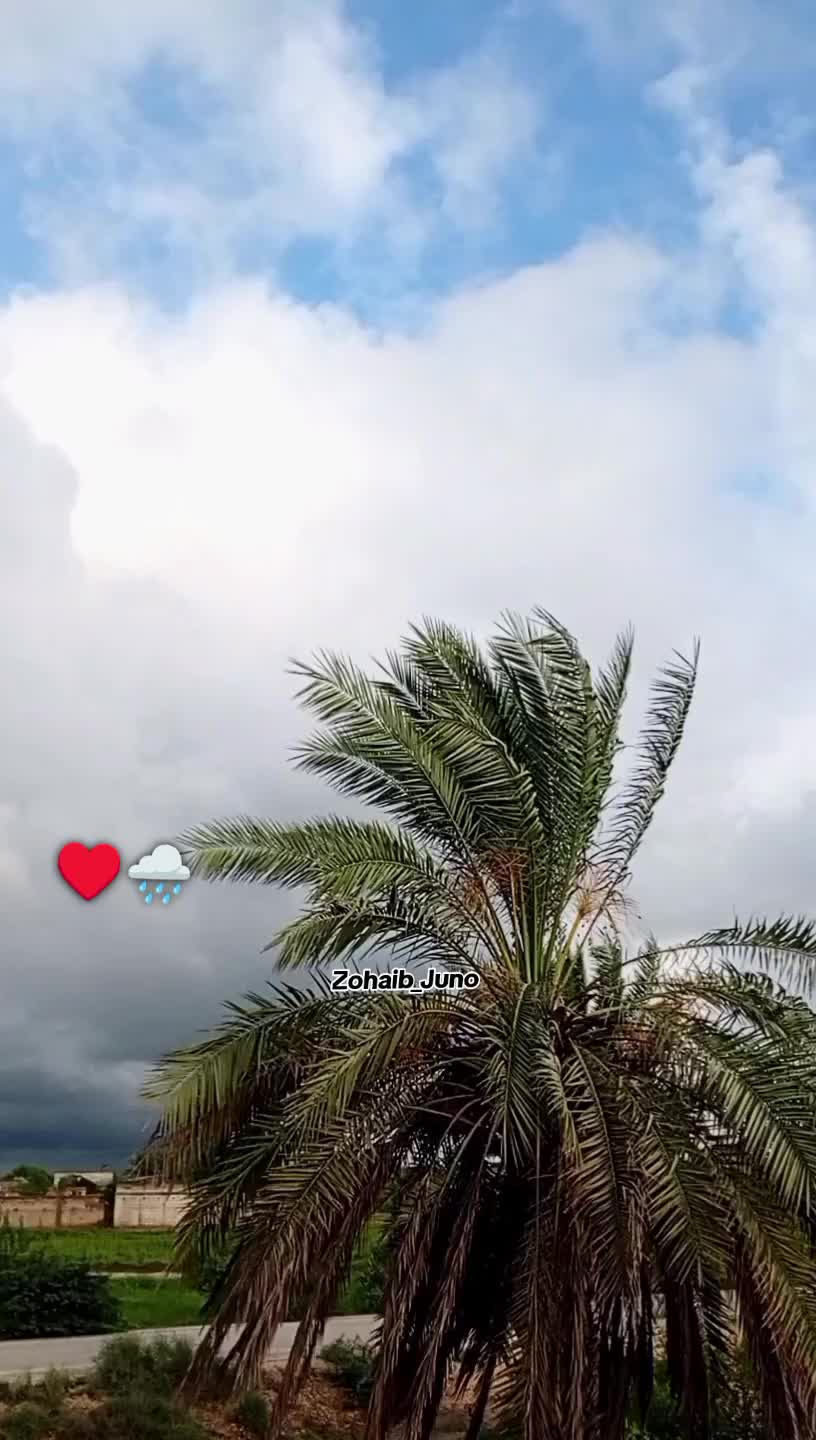 @ز..♡
