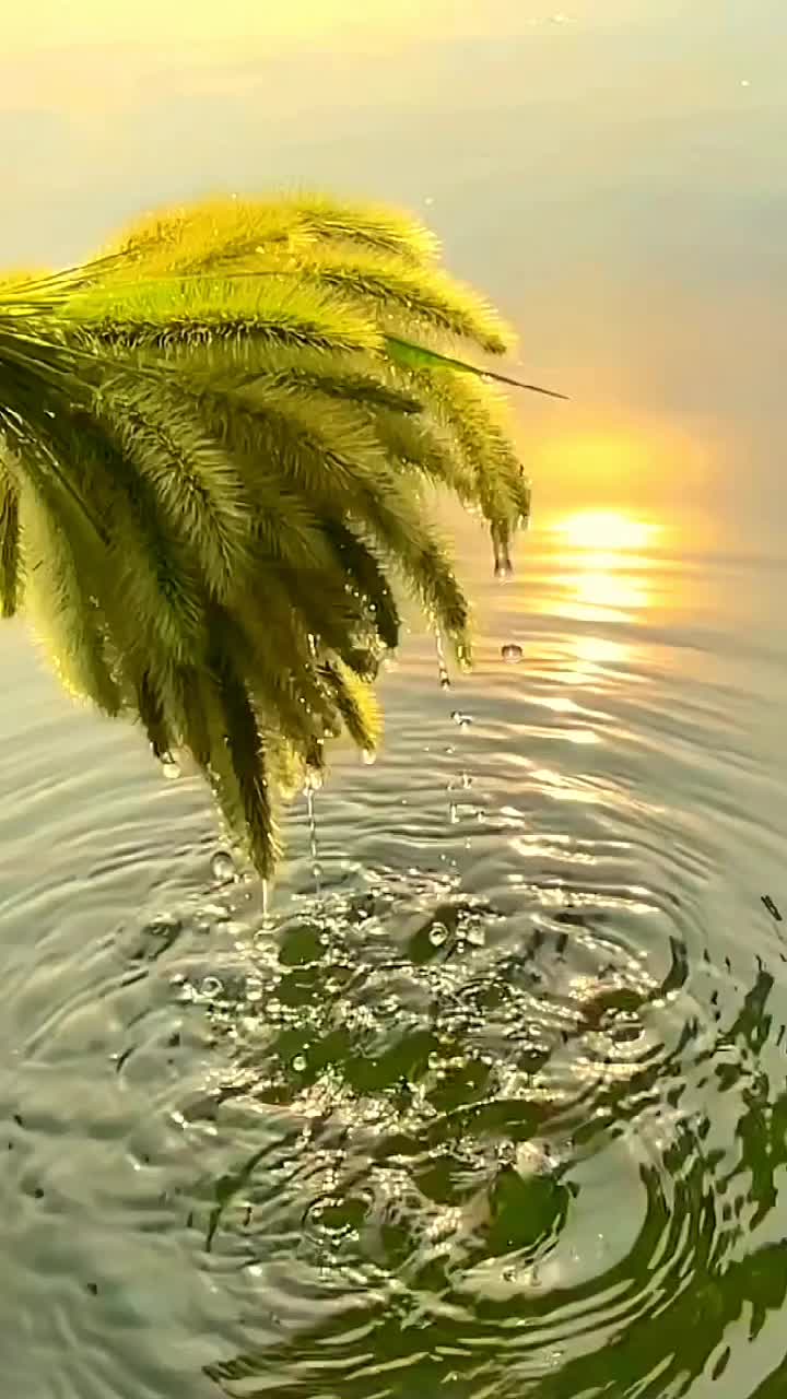 @khushbu yadav💐💐🌹🌹