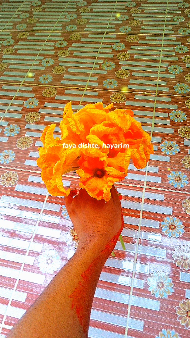 @🍁Tamjida🍁