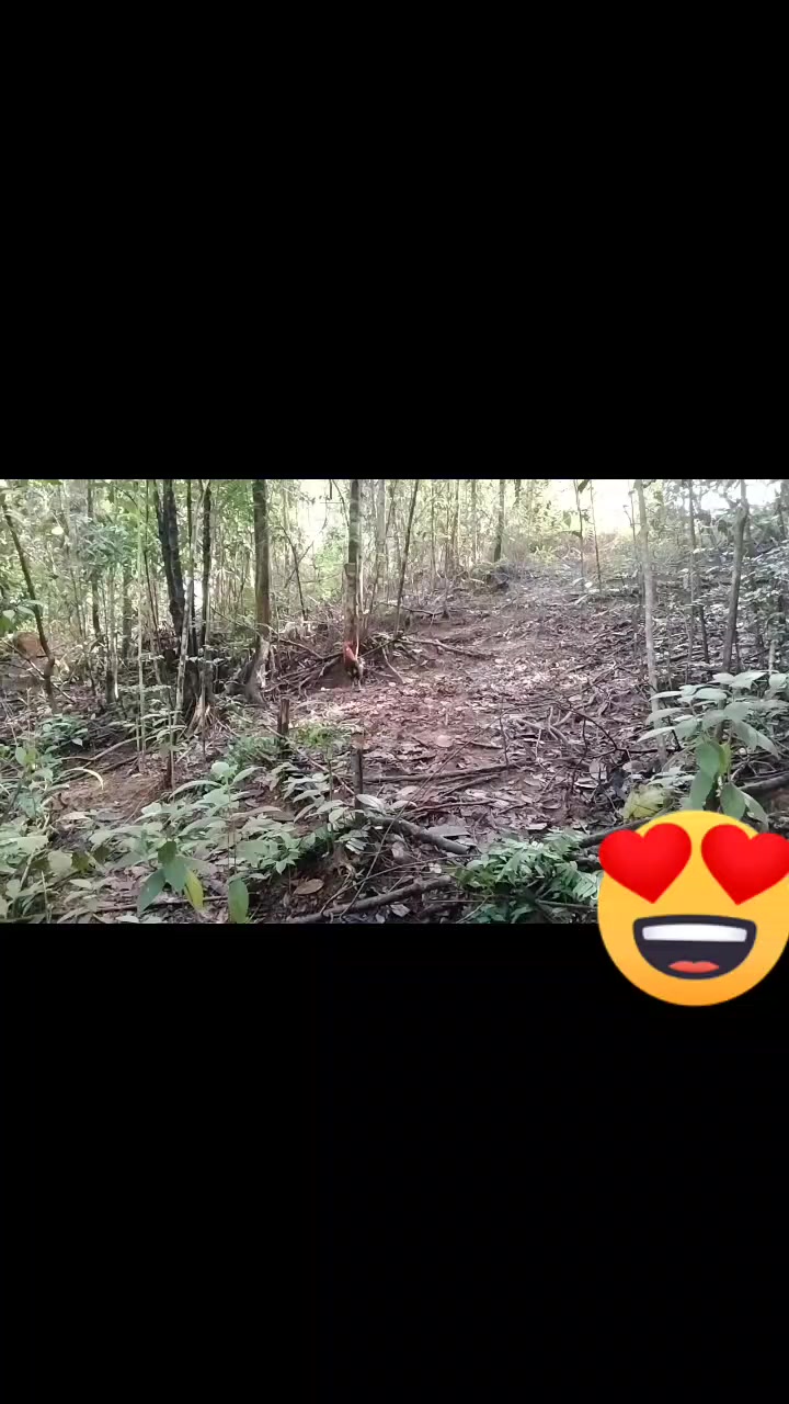 @KoPaK TT