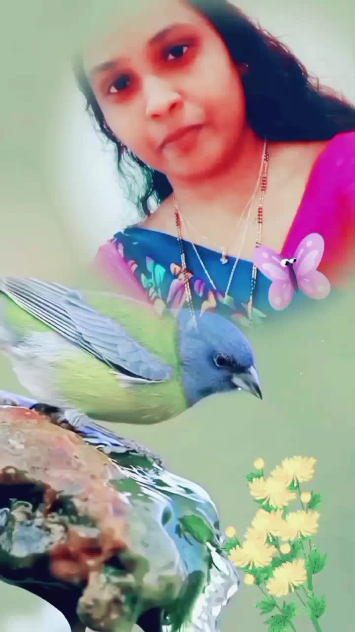 @soniyavask
