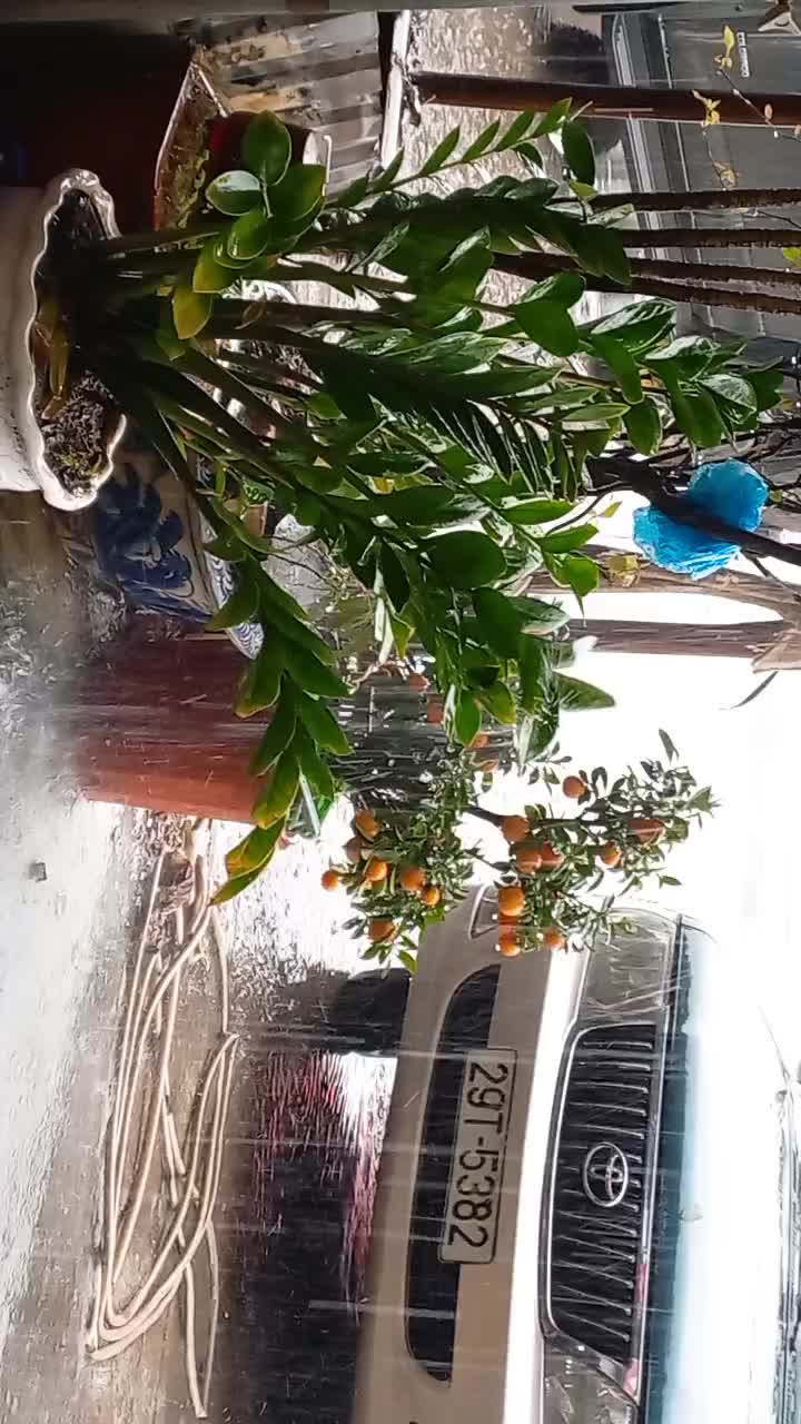 @L&ecirc; Dung