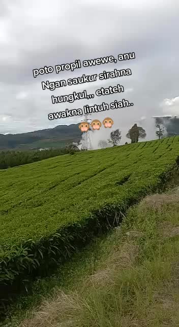 @Abimbim