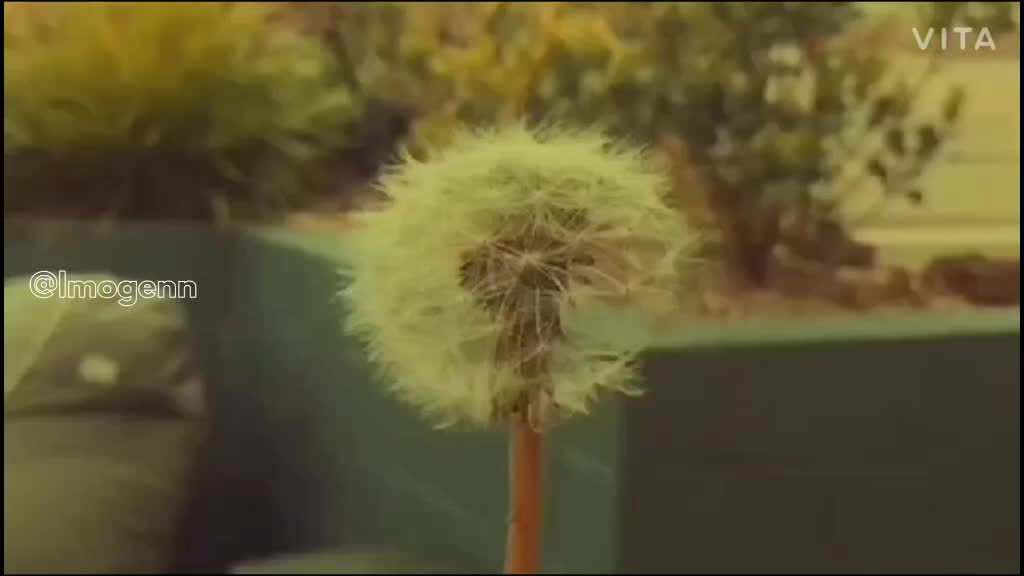 @๐ธ๐๐๐๐๐