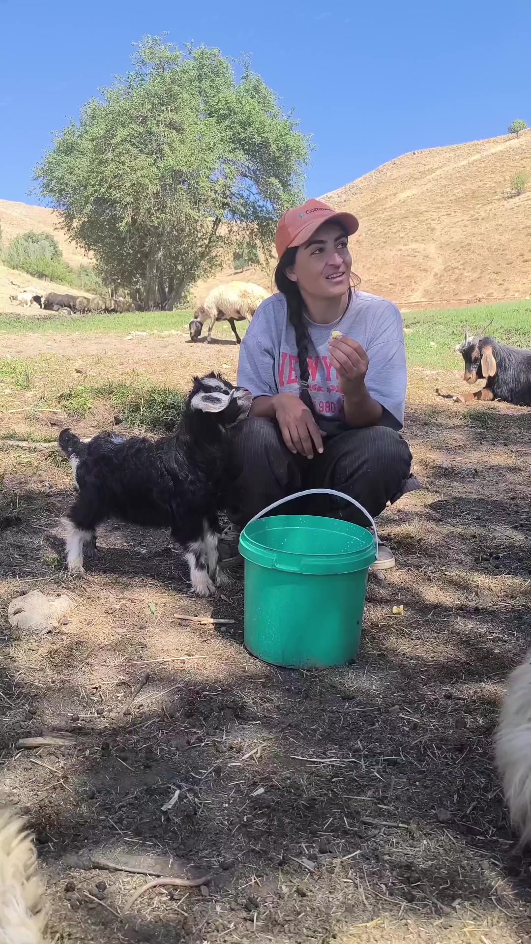 @Şilan karaman