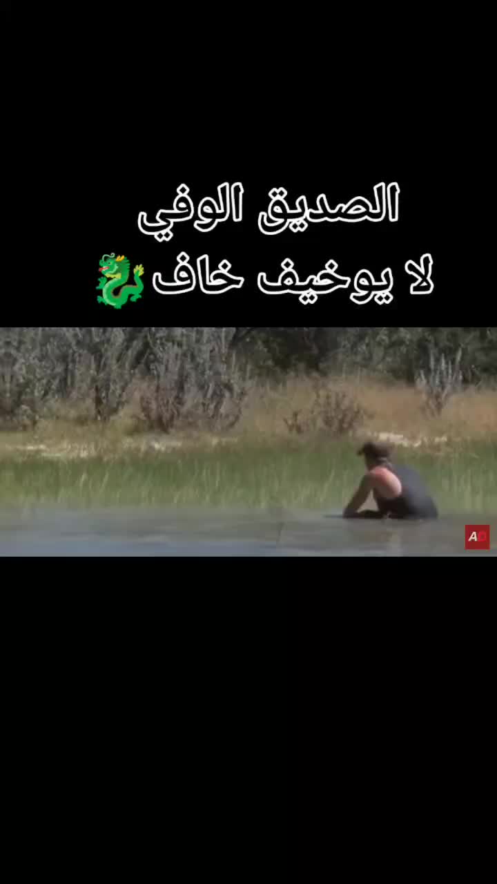@دعم حسابات