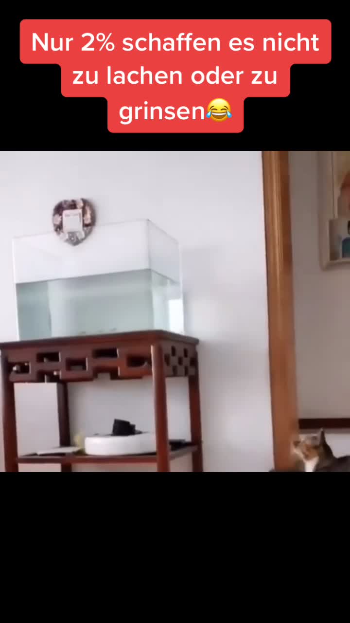 @Ententv1