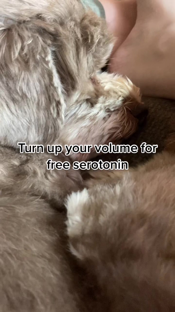 @maid4more_kingston