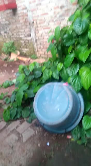 @Akang Aksan 41