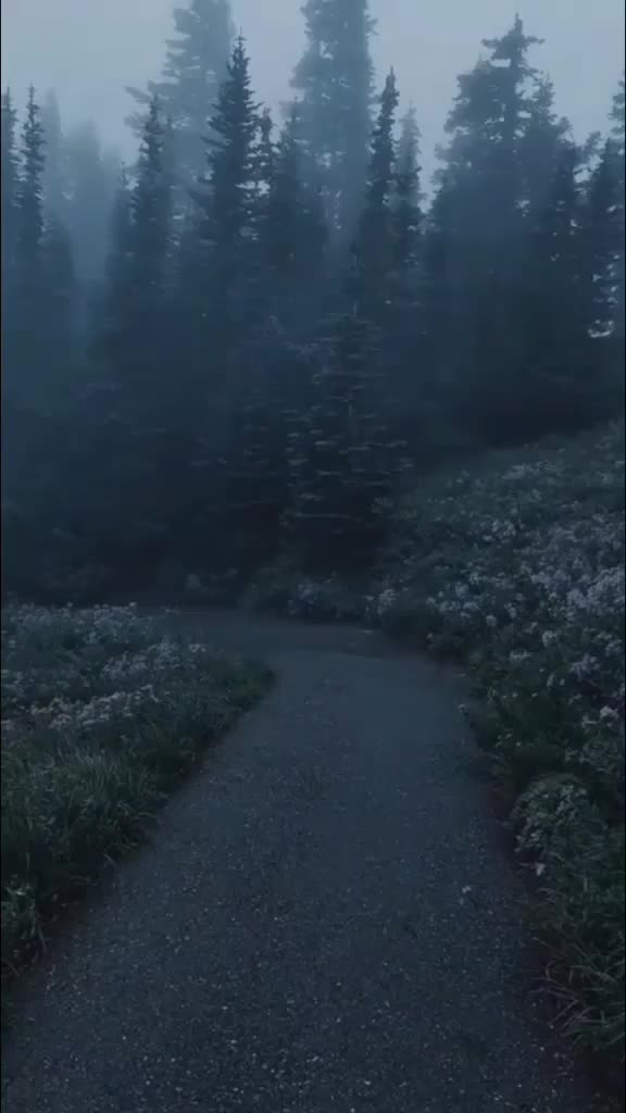 @00g95
