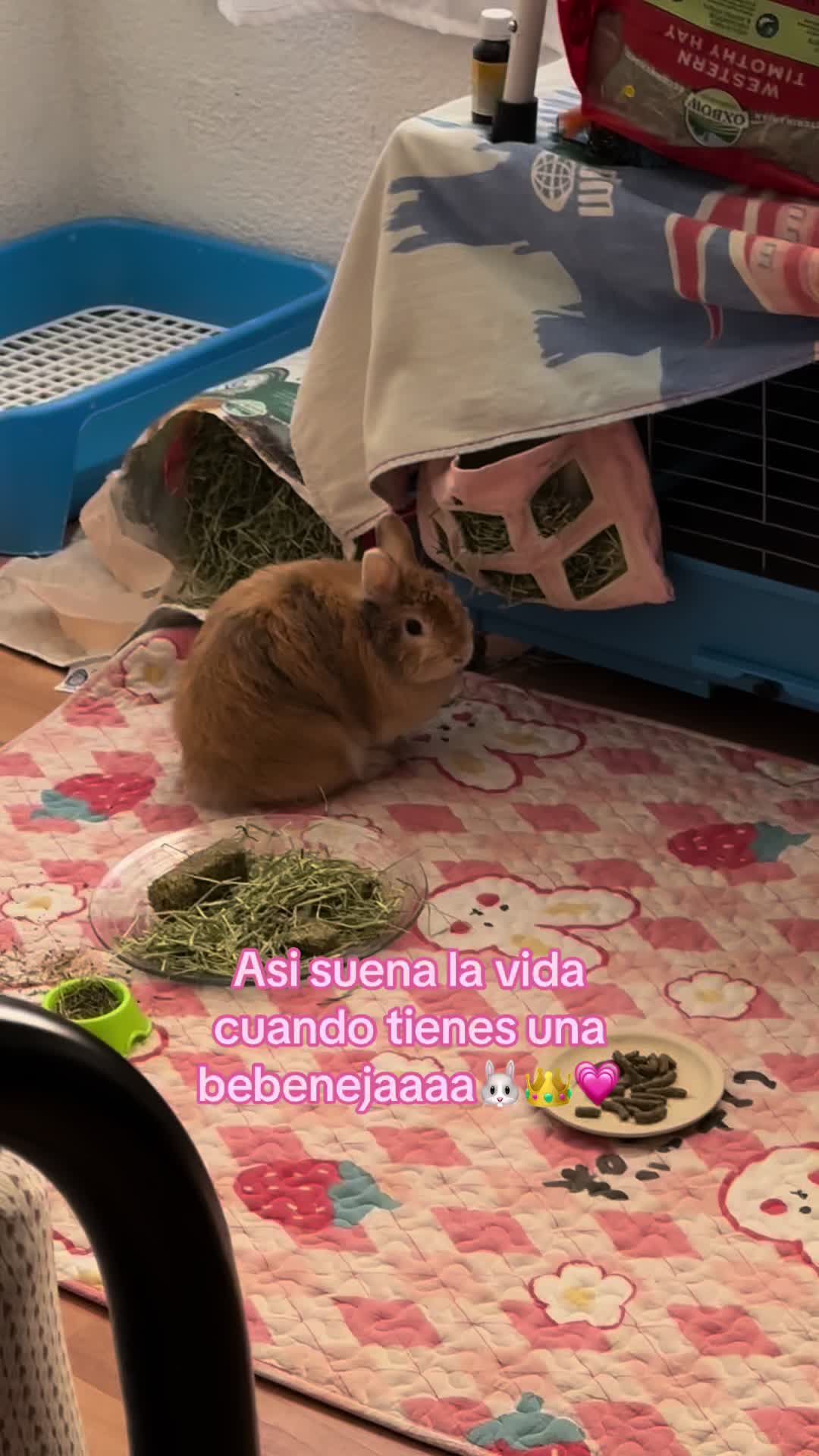 @peachy