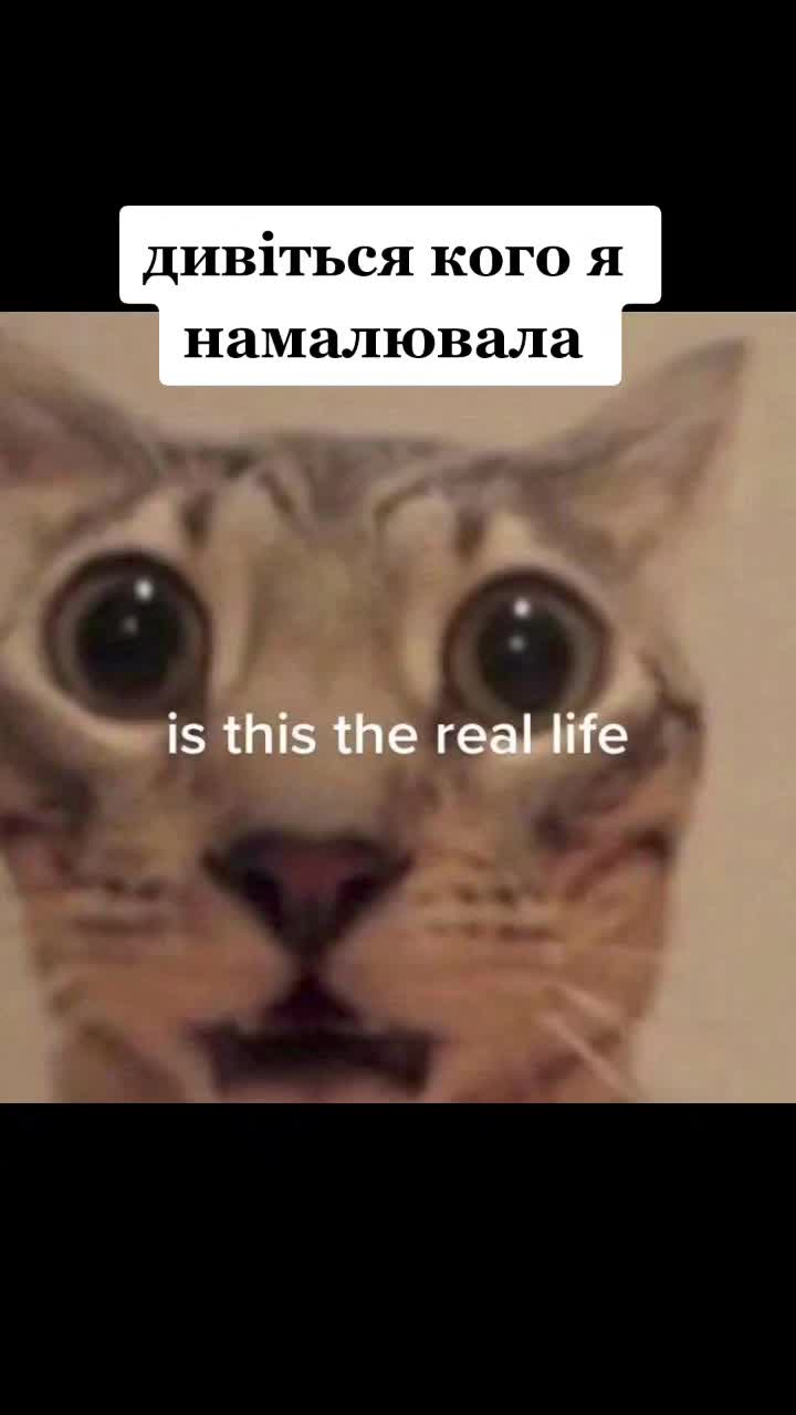 @Надійка тай той во 🇺🇦