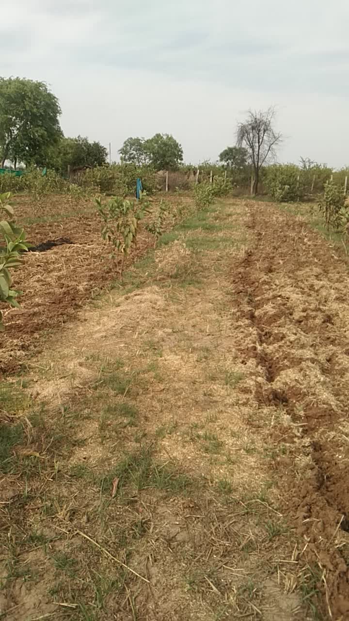 @Ram Lakhan Meena