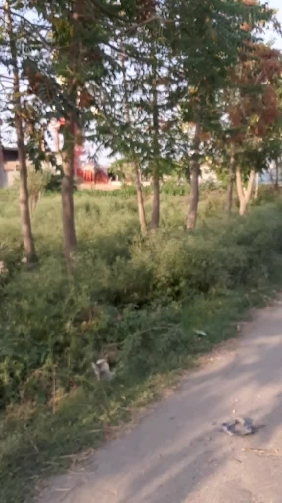 @Dinesh Sharma