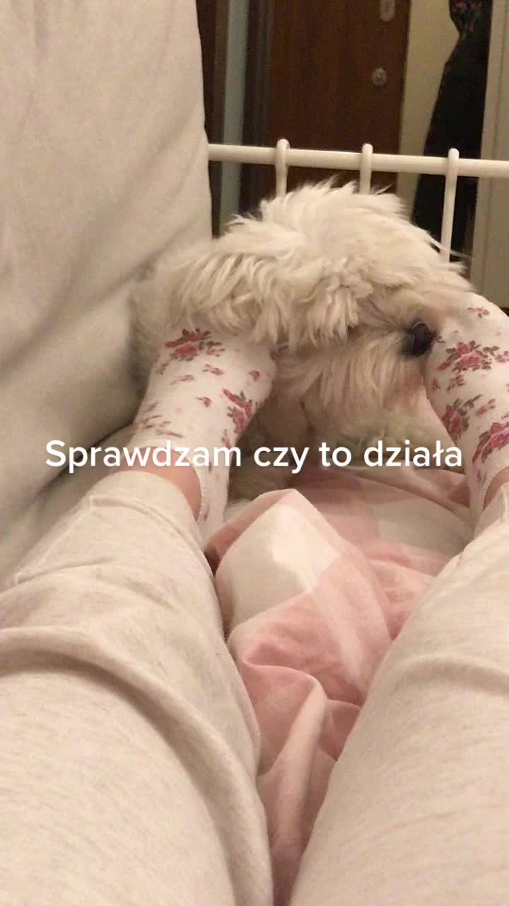 @✨
