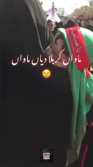 @❤️زوار فخر عبا س اعوان ❤️