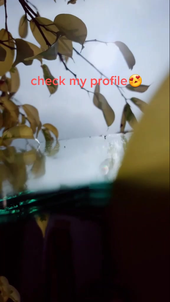 @photographer🌱🌳🌳🌵