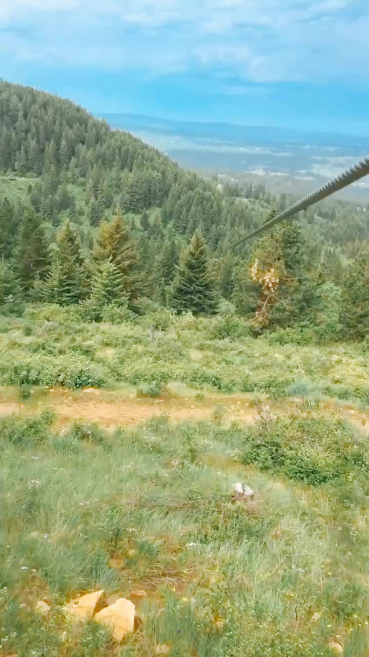 @Rewr3w