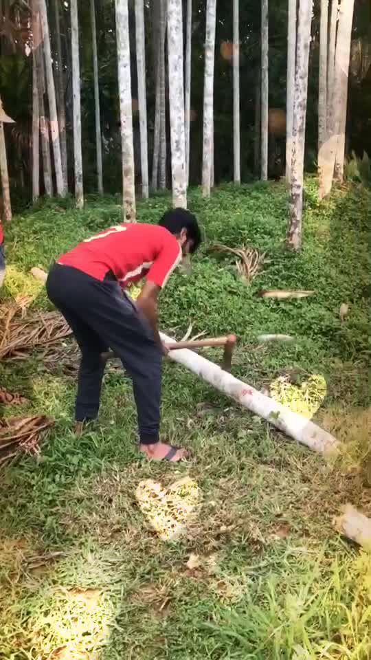 @Rashid Rīñz