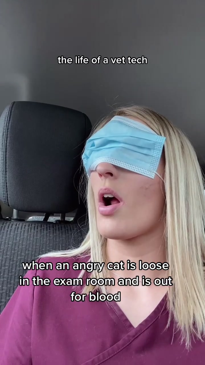 @anna vandersloot