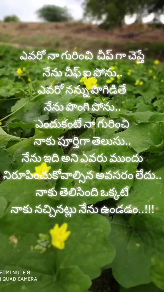 @ANJI