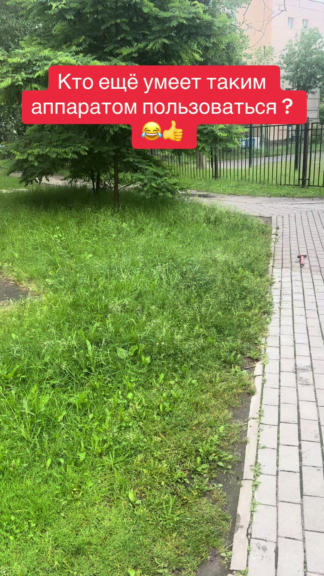 @Андрей28🫶