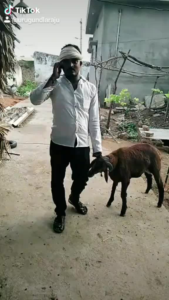 @Urugundla Raju