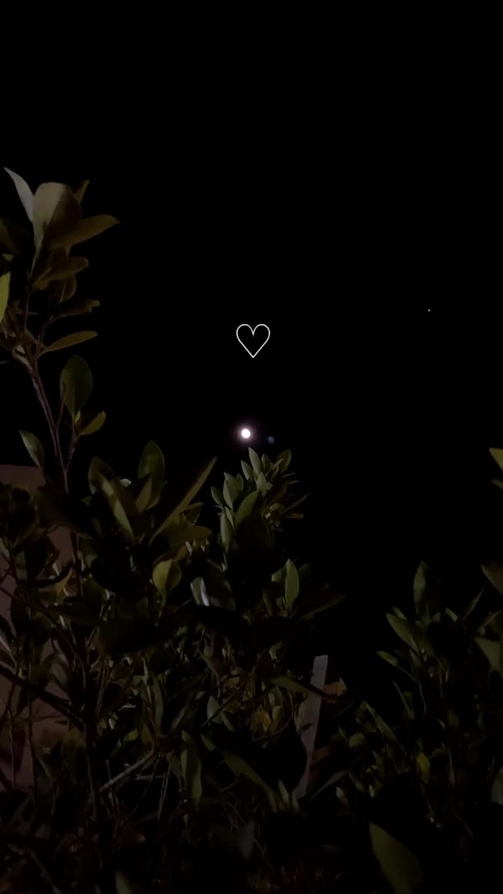 @مـحـمـد|1417 هـ