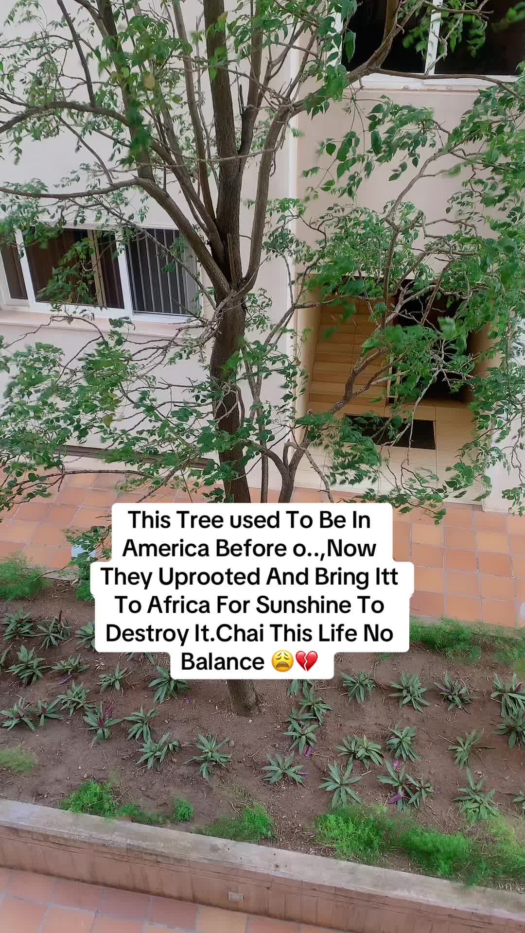 @meredona