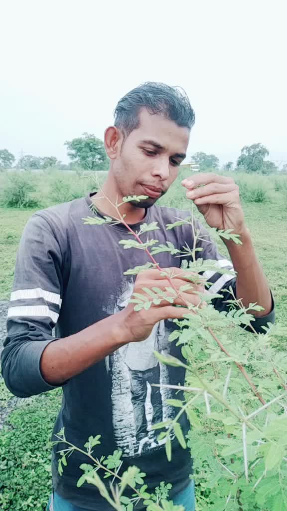 @Raj Singh