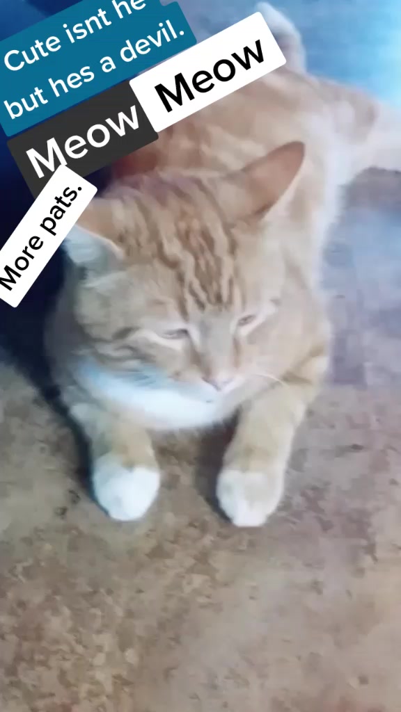 @Lisa