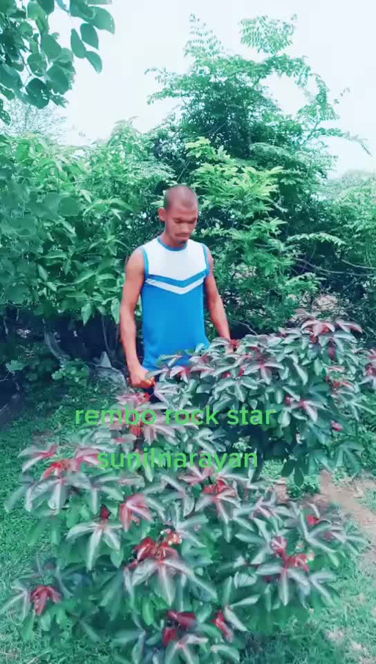 @sunil narayan