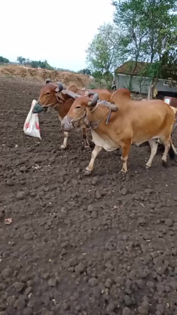 @Ravi__Aayar