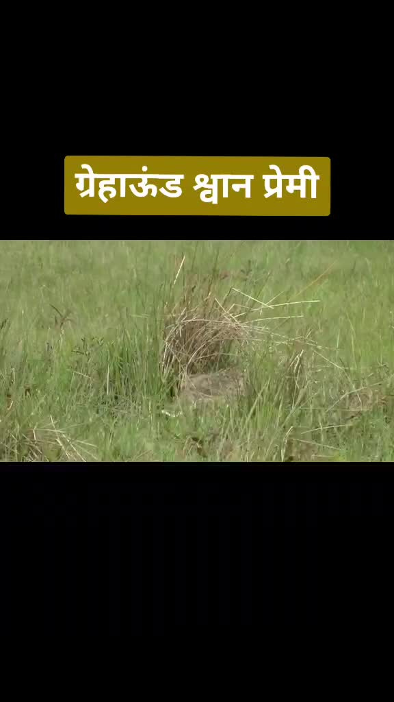 @bablu bagwan