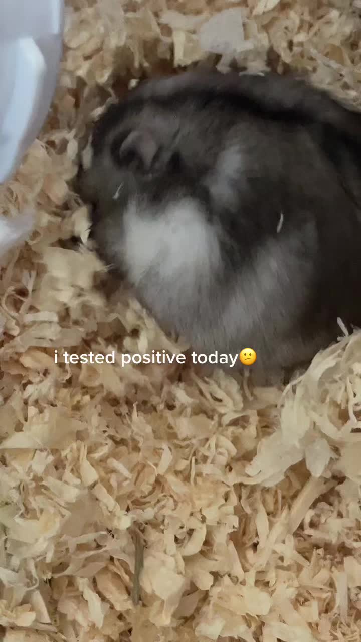 @mabel <3