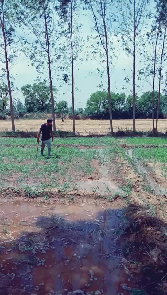 @jugraj Singh mehra