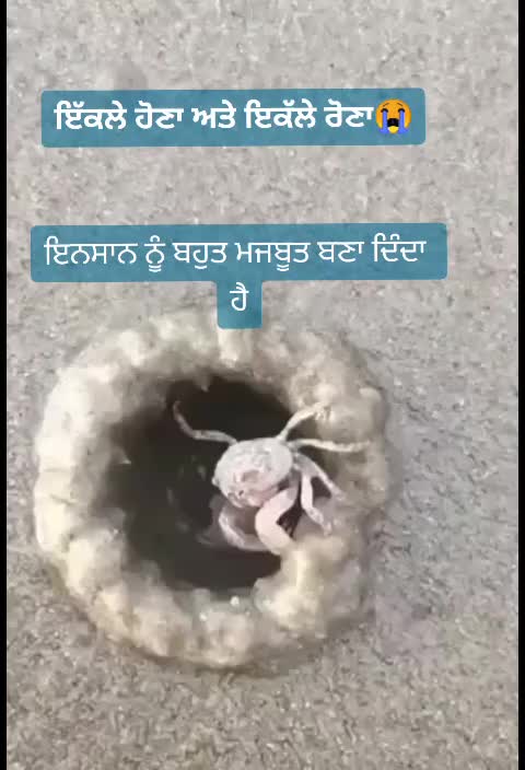 @Mani Samplay