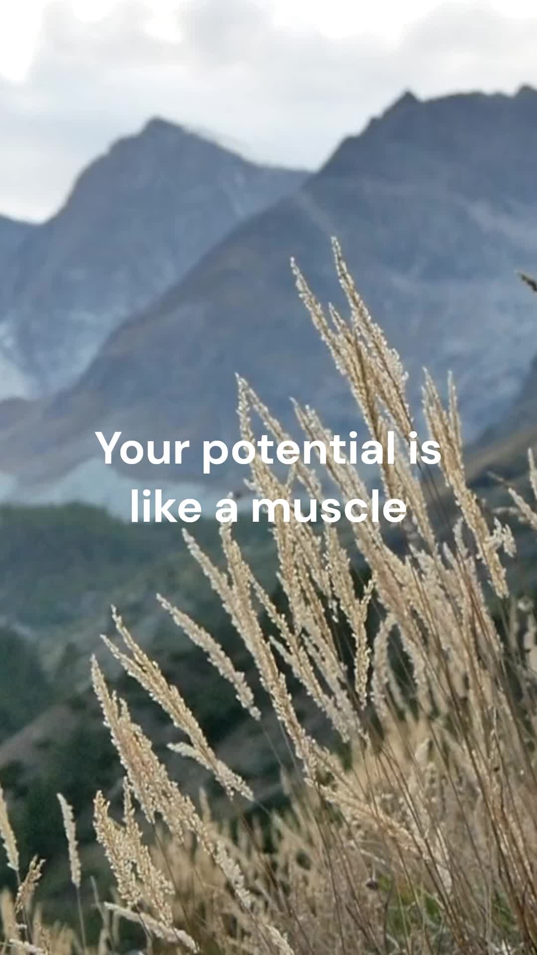 @MotivationX