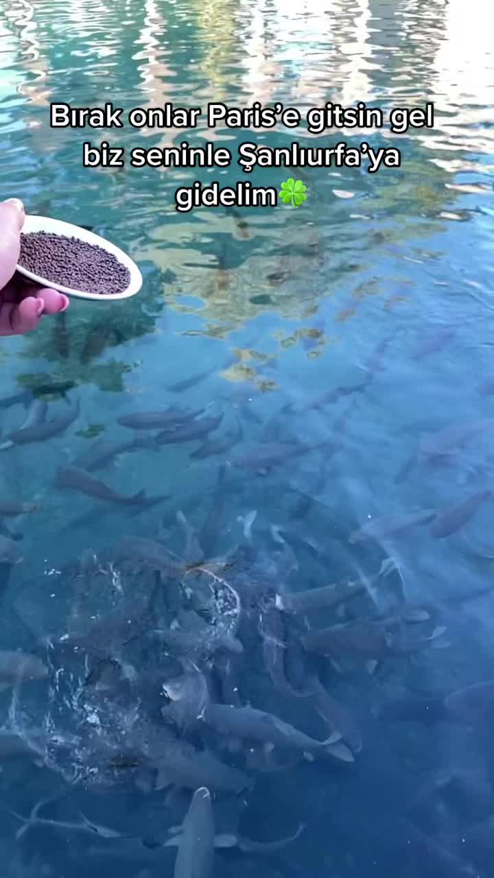 @Buse Fıçıyapan