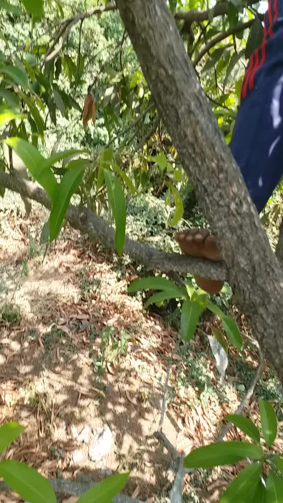 @Bharat Bhaliya