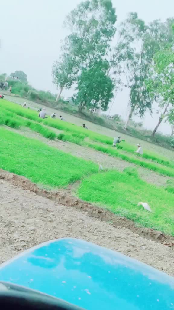 @मोल्ड जाट