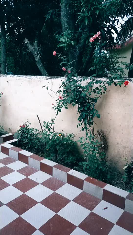 @ruchikachoudhary1818