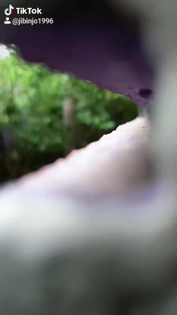 @JiBiNjO